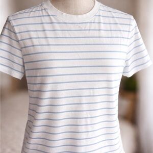American Eagle Blue & White Striped Crewneck T-Shirt - Medium